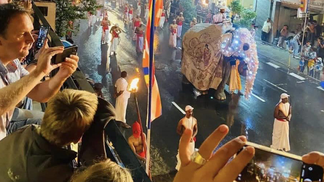 Kandy Esala Perahera - 11. Gün (Biletler ve Koltuklar)