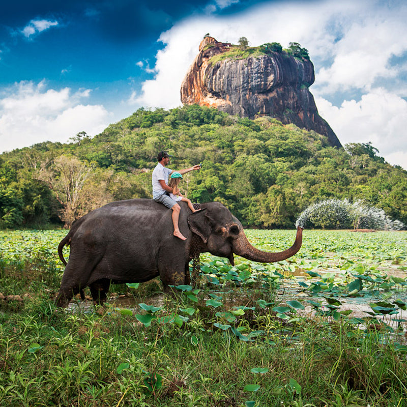 Oakray Elephant Lake
