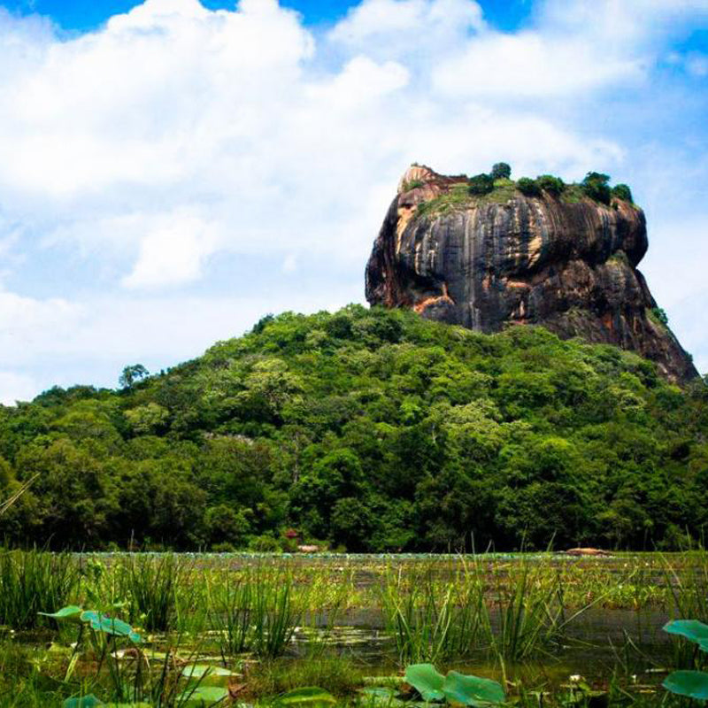 Oakray Elephant Lake