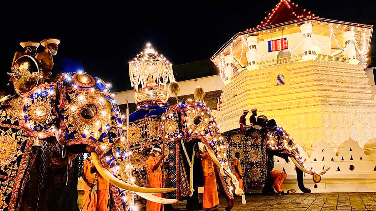 Kandy Esala Perahera - 11. Gün (Biletler ve Koltuklar)