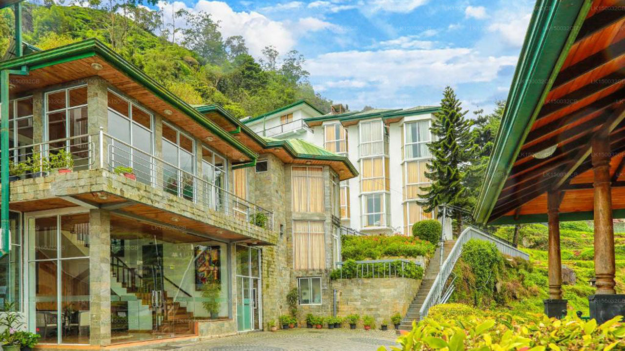 Oak Ray Yaz Tepesi Esintisi, Nuwara Eliya