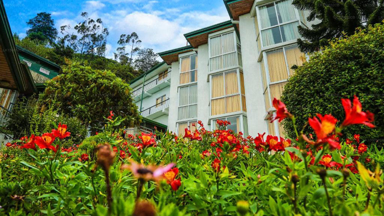 Oak Ray Yaz Tepesi Esintisi, Nuwara Eliya