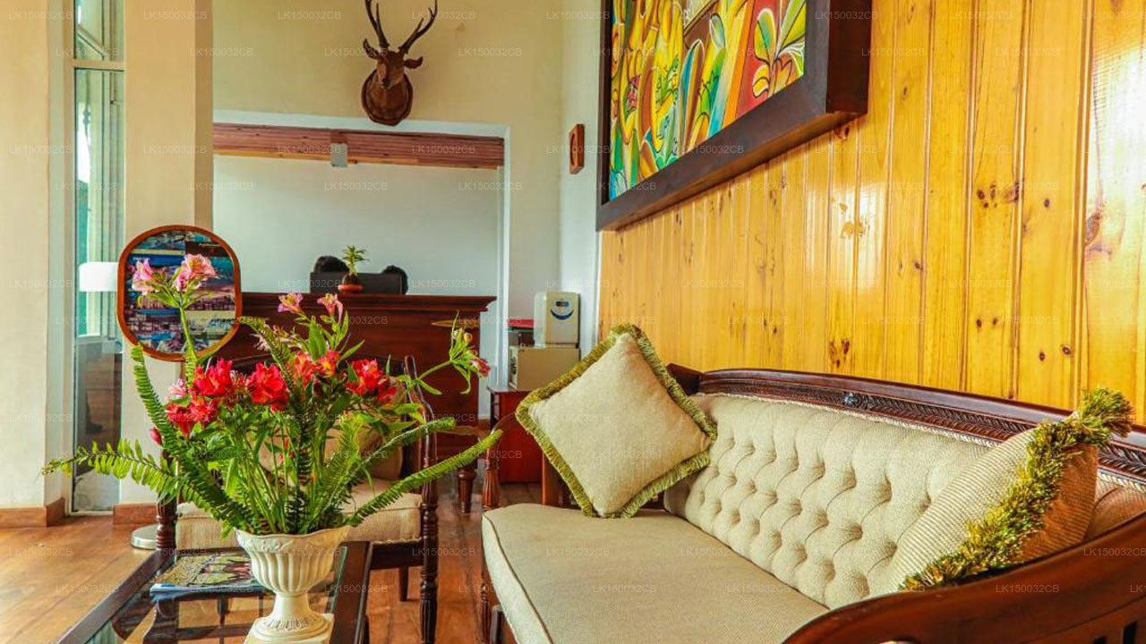 Oak Ray Yaz Tepesi Esintisi, Nuwara Eliya