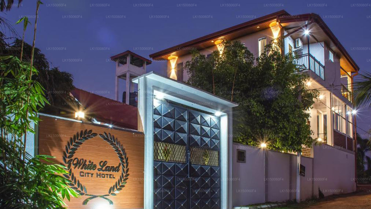 White Land City Otel, Dambulla