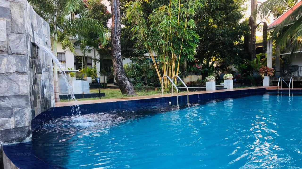 White Land City Otel, Dambulla