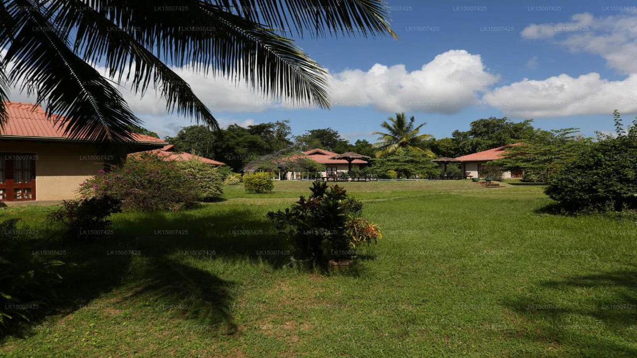 Hibiscus Garden, Tissamaharama