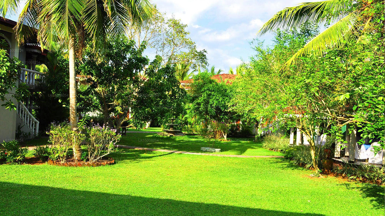 Bougain Villa