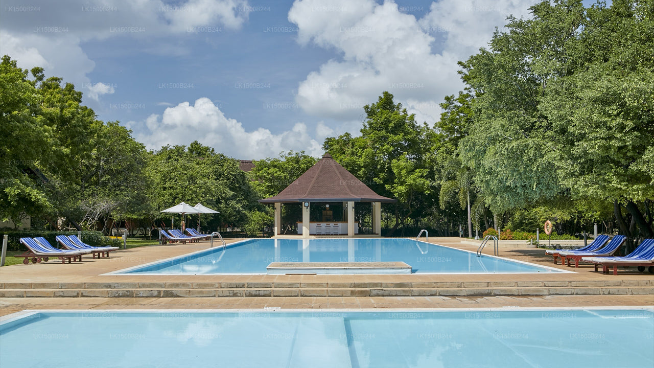 Batı Cenneti, Dambulla