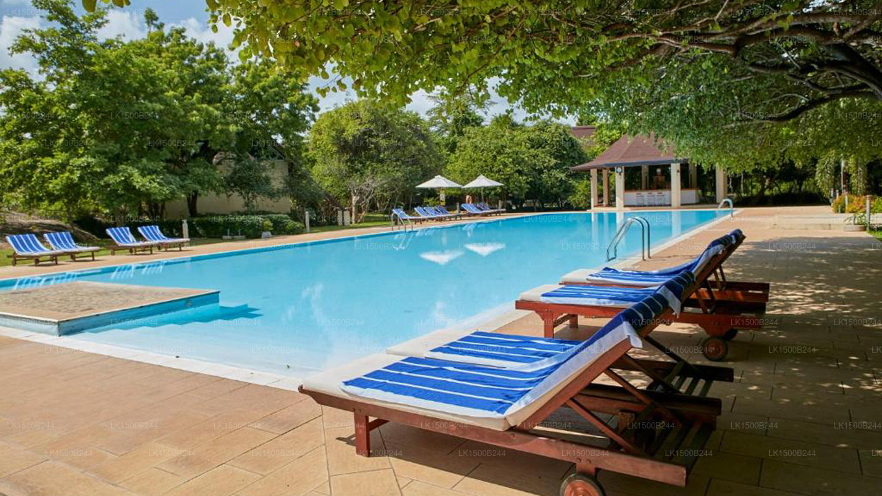 Batı Cenneti, Dambulla