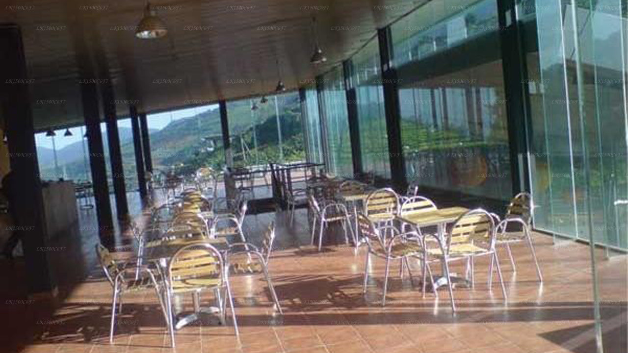Sanasa Tatil Köyü, Nuwara Eliya