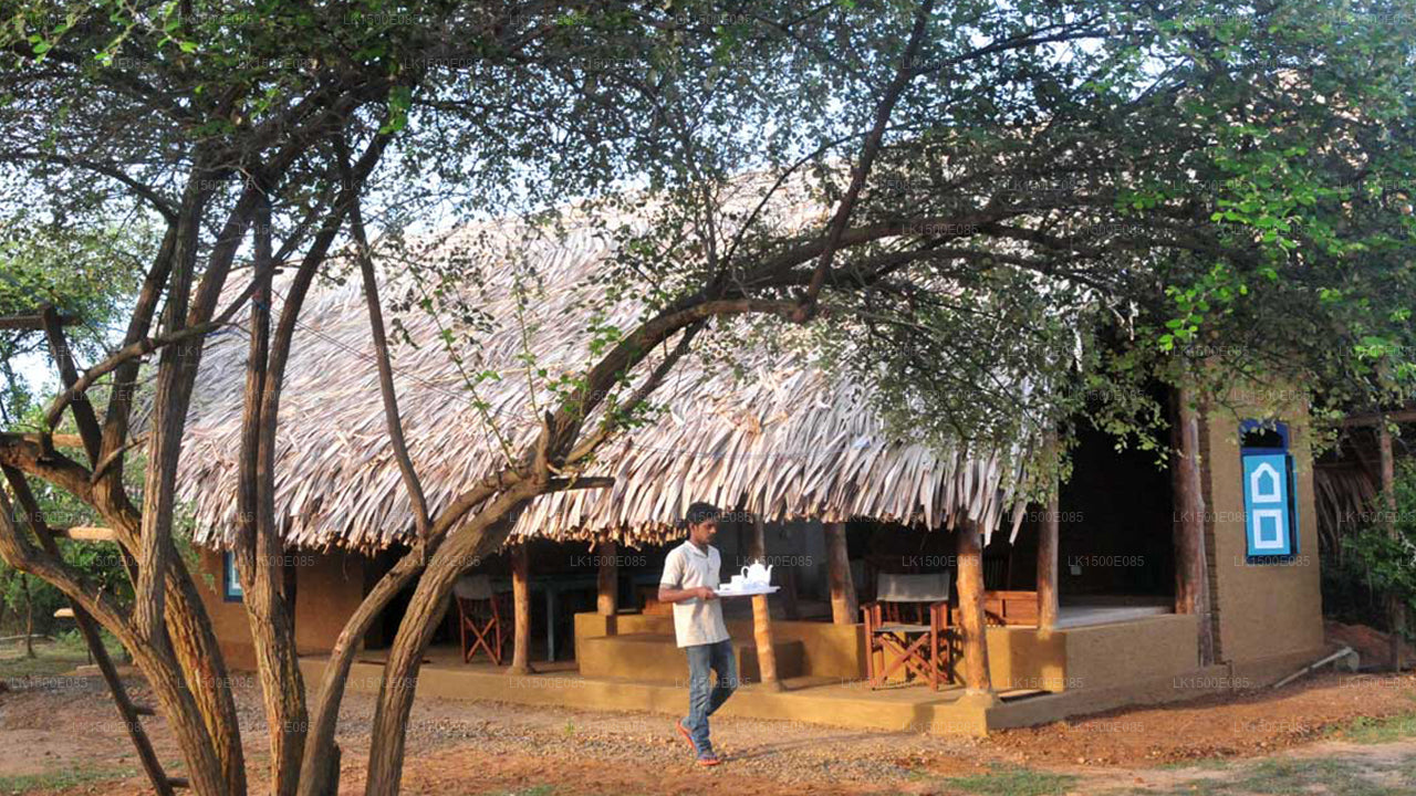 Ötesin Arkası - Safari Lodge, Yala