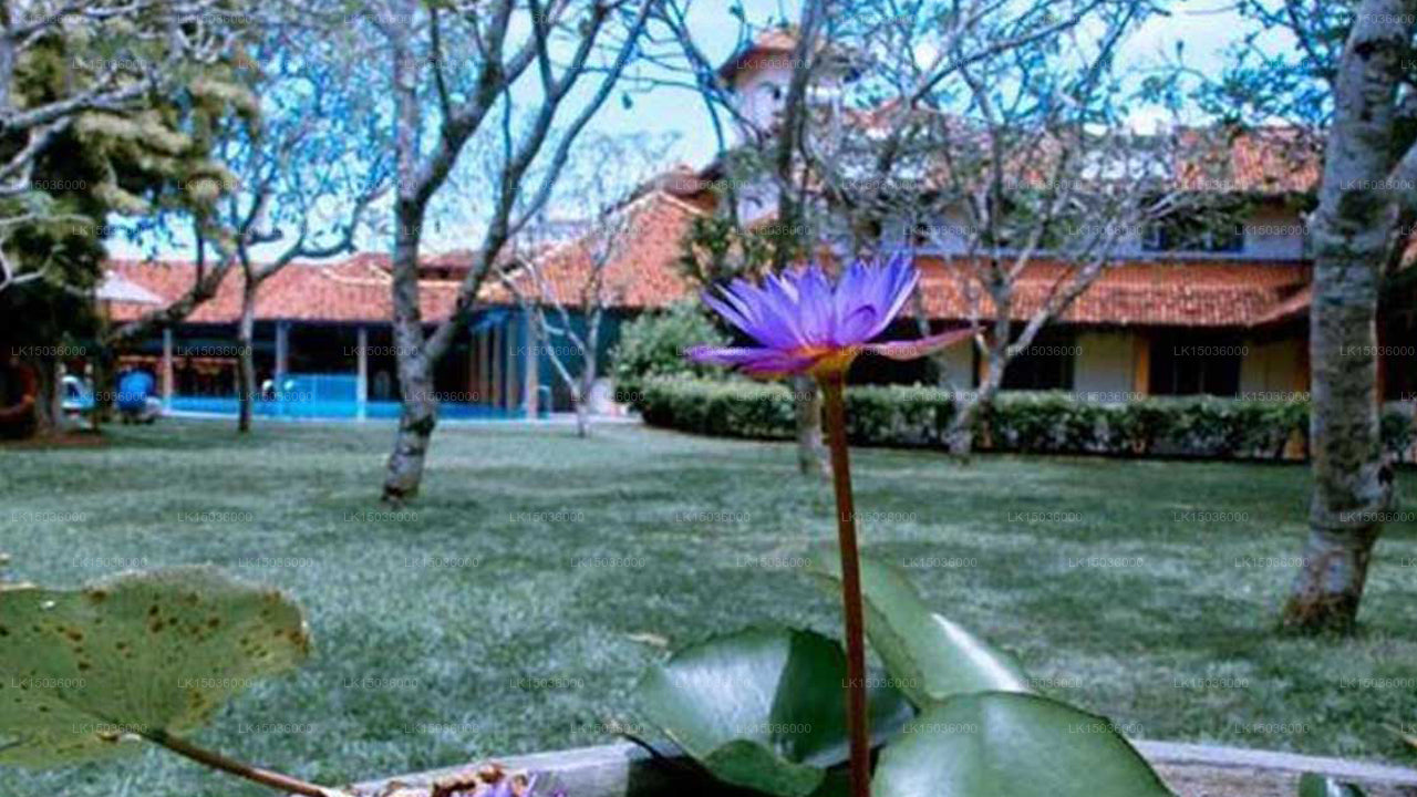 AIDA Ayurveda ve Spa Tatil Köyü, Bentota