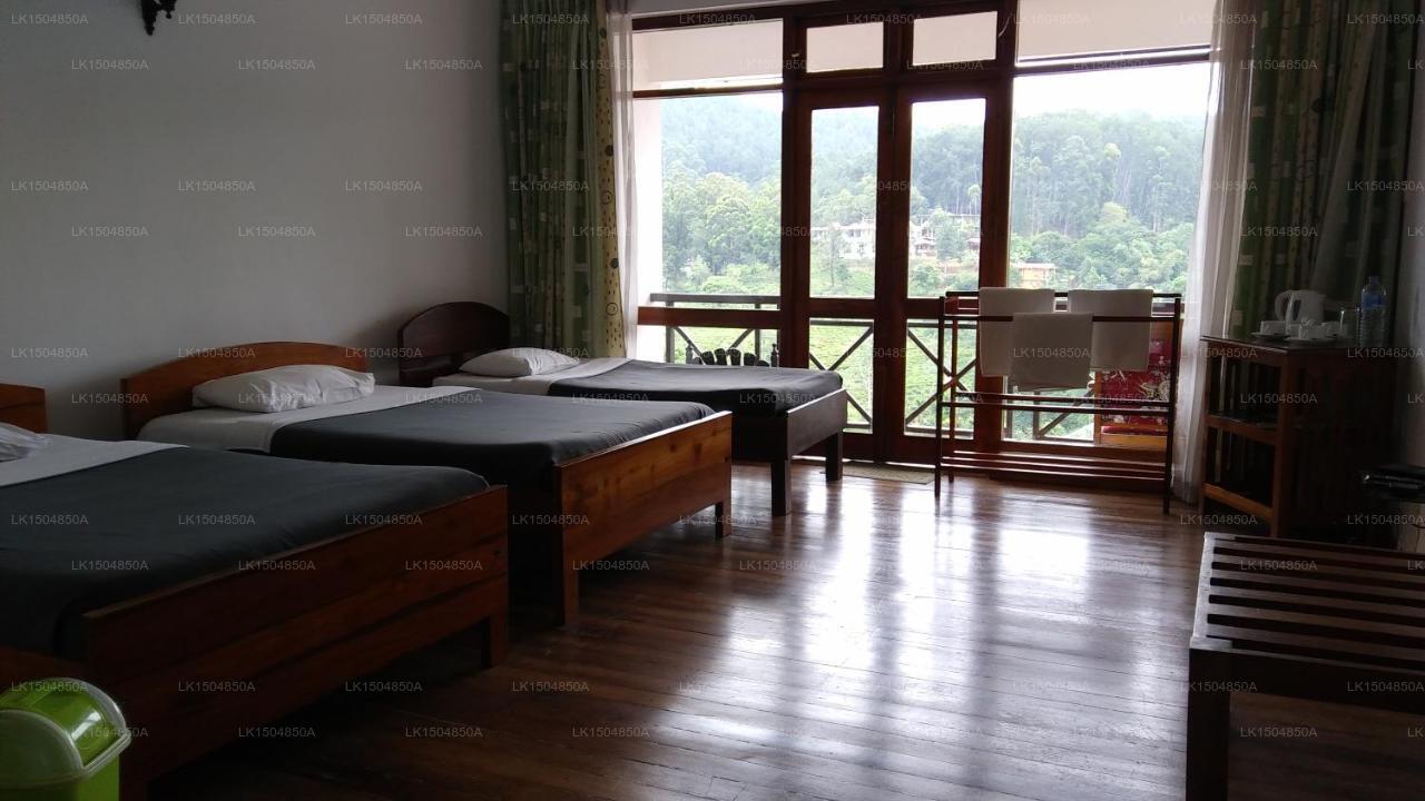 Hotel Alta Vista, Ella