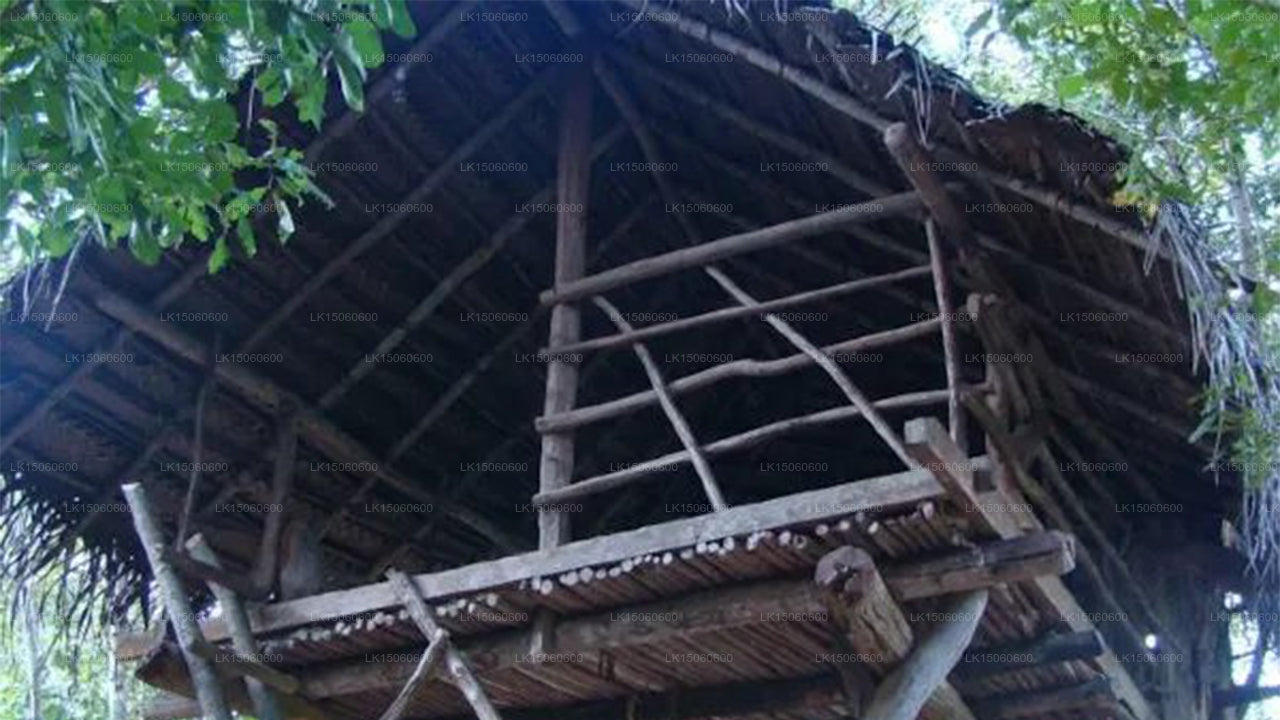 Rüya Kulübesi, Habarana