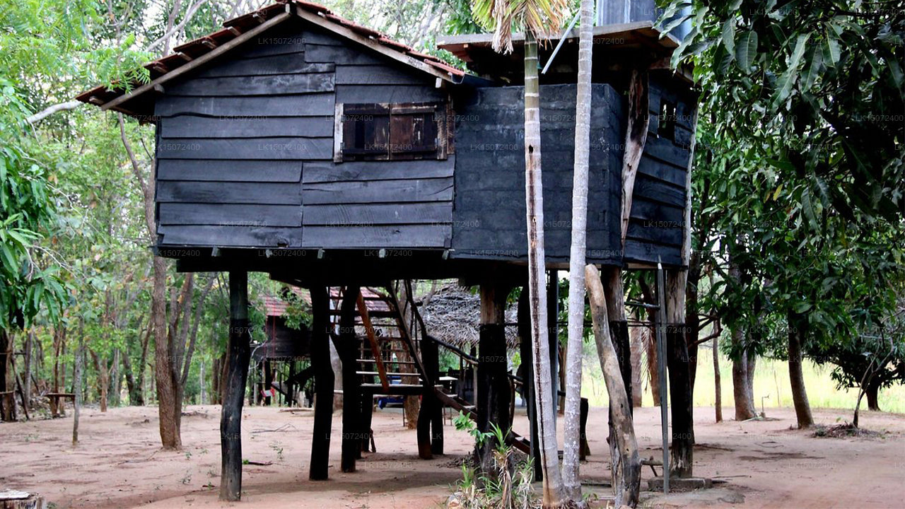 Eagle's Wings Konuk evi, Habarana