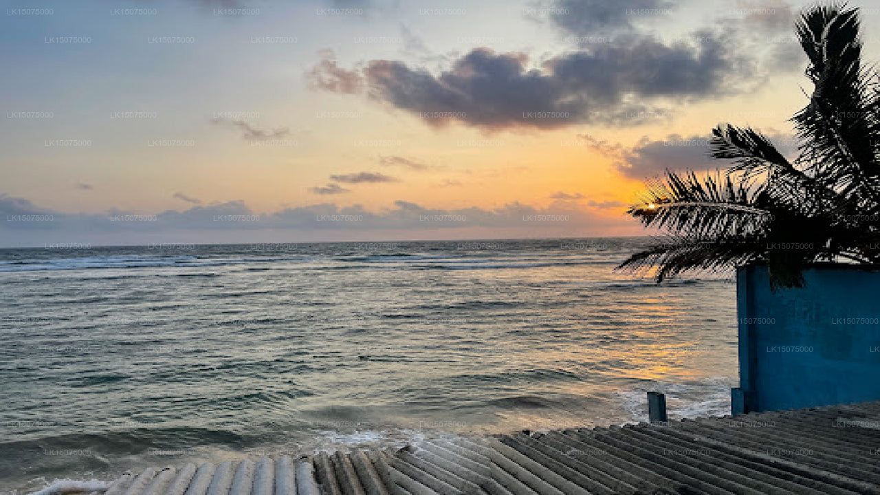Coral Reef Beach Hotel, Hikkaduwa