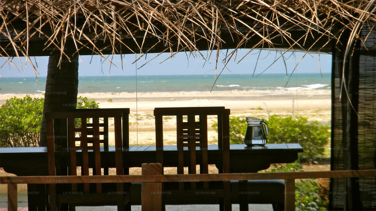 Diyamba, Kalpitiya