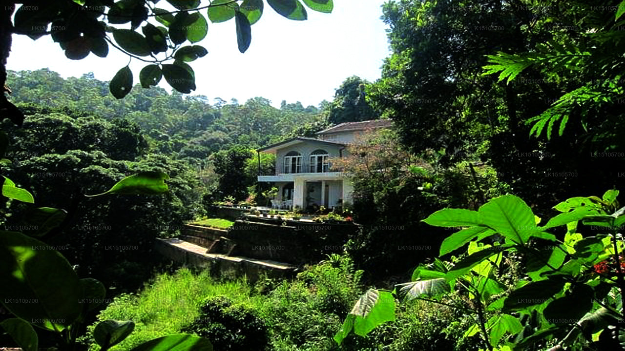 Forest Glen, Kandy