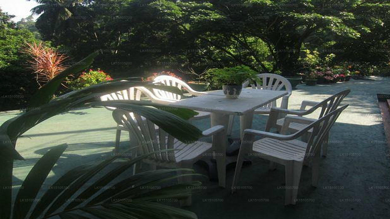 Forest Glen, Kandy