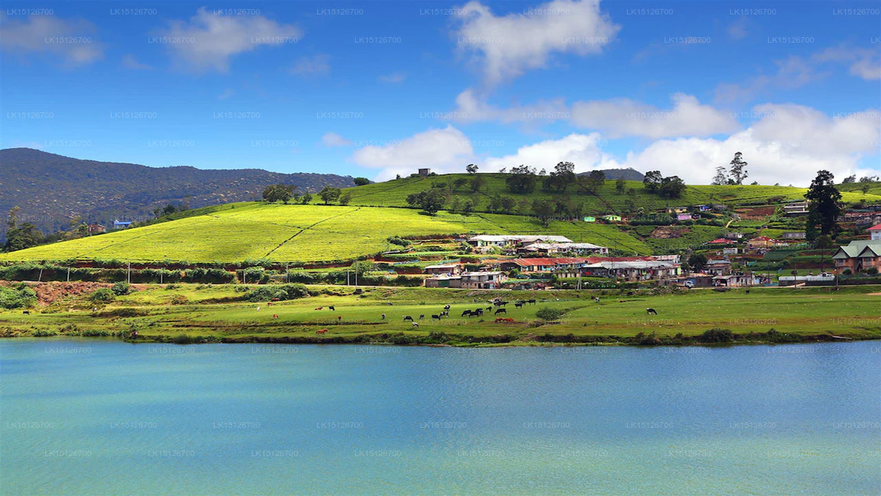 Hillcrest Residency, Nuwara Eliya