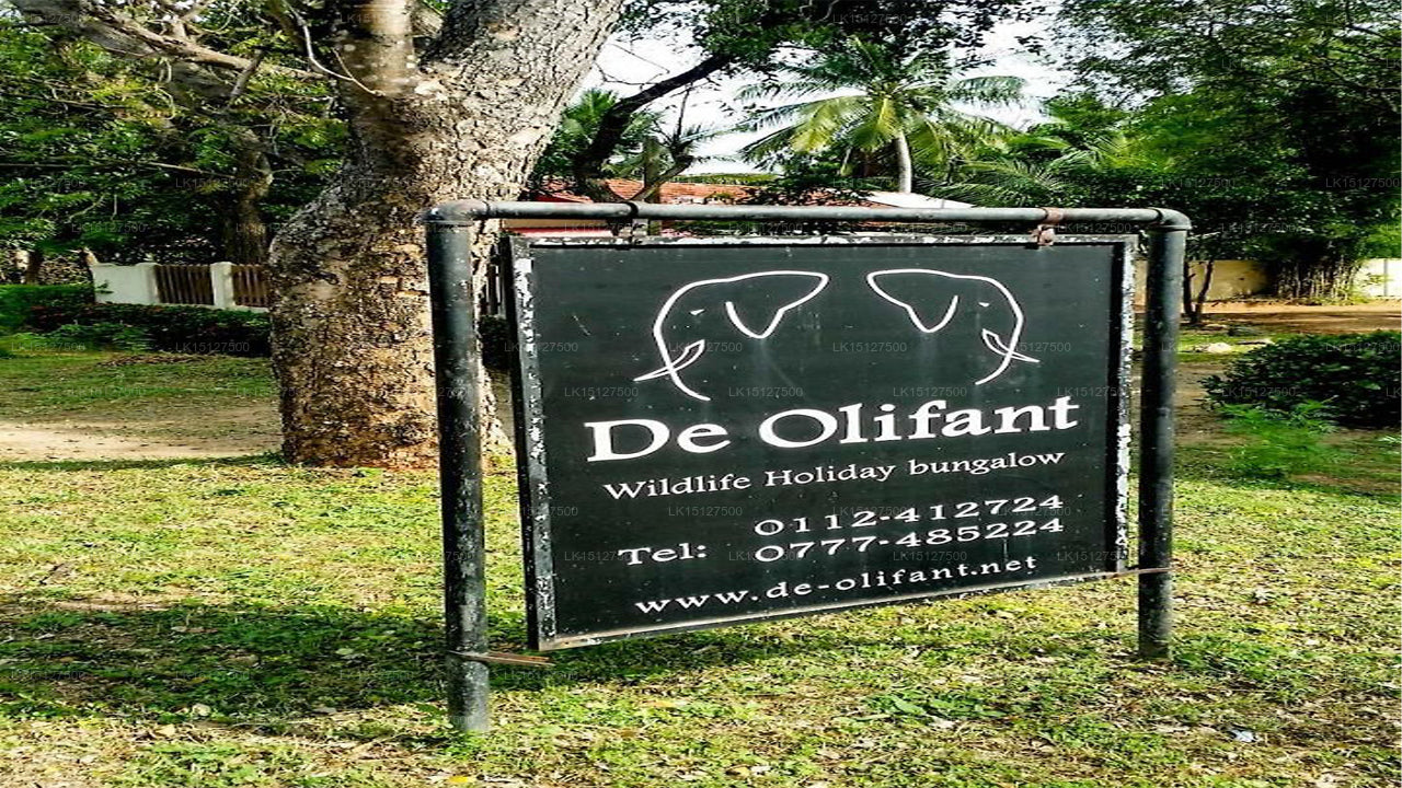De Olifant Holiday Bungalow, Udawalawe