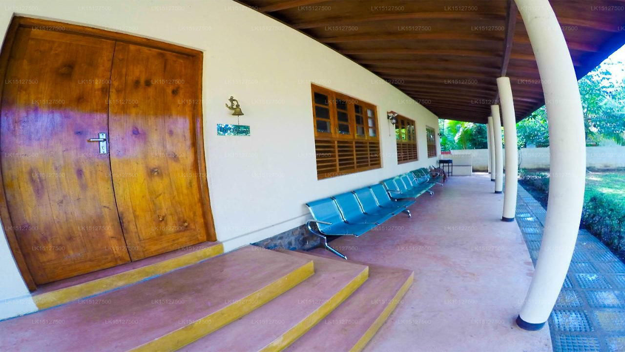 De Olifant Holiday Bungalow, Udawalawe