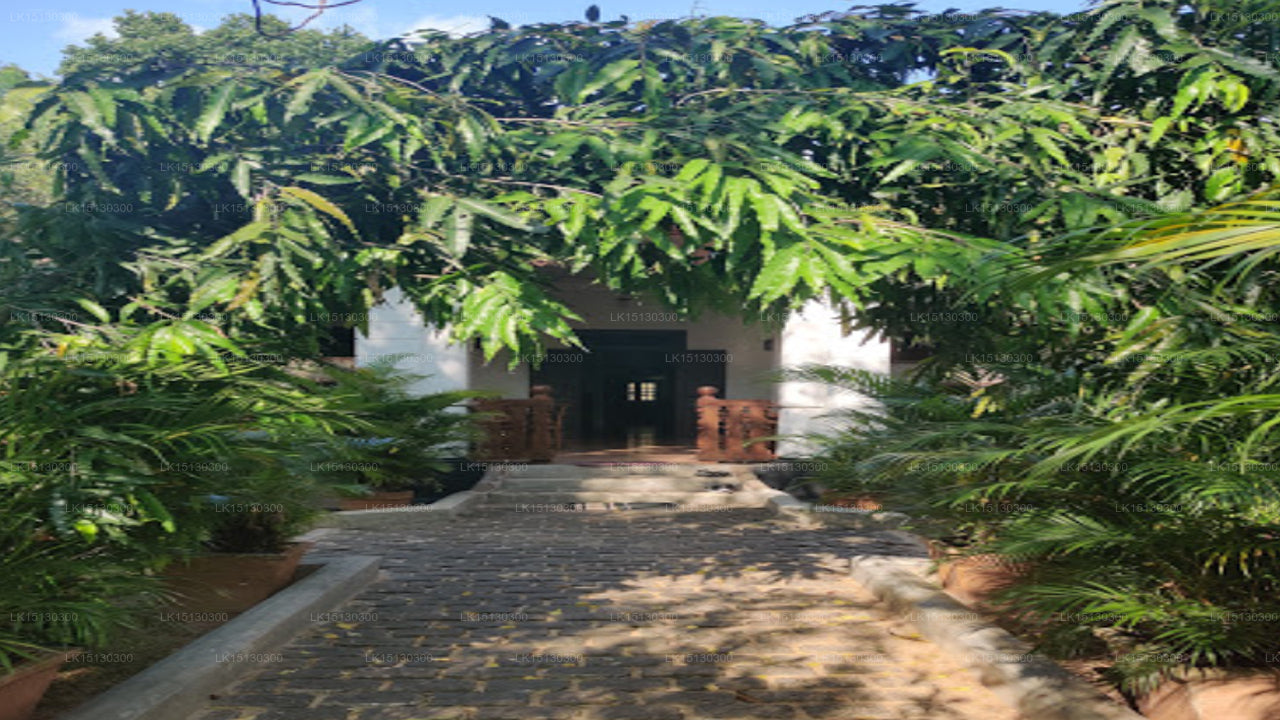 Holiday Bungalow in Wackwella, Galle