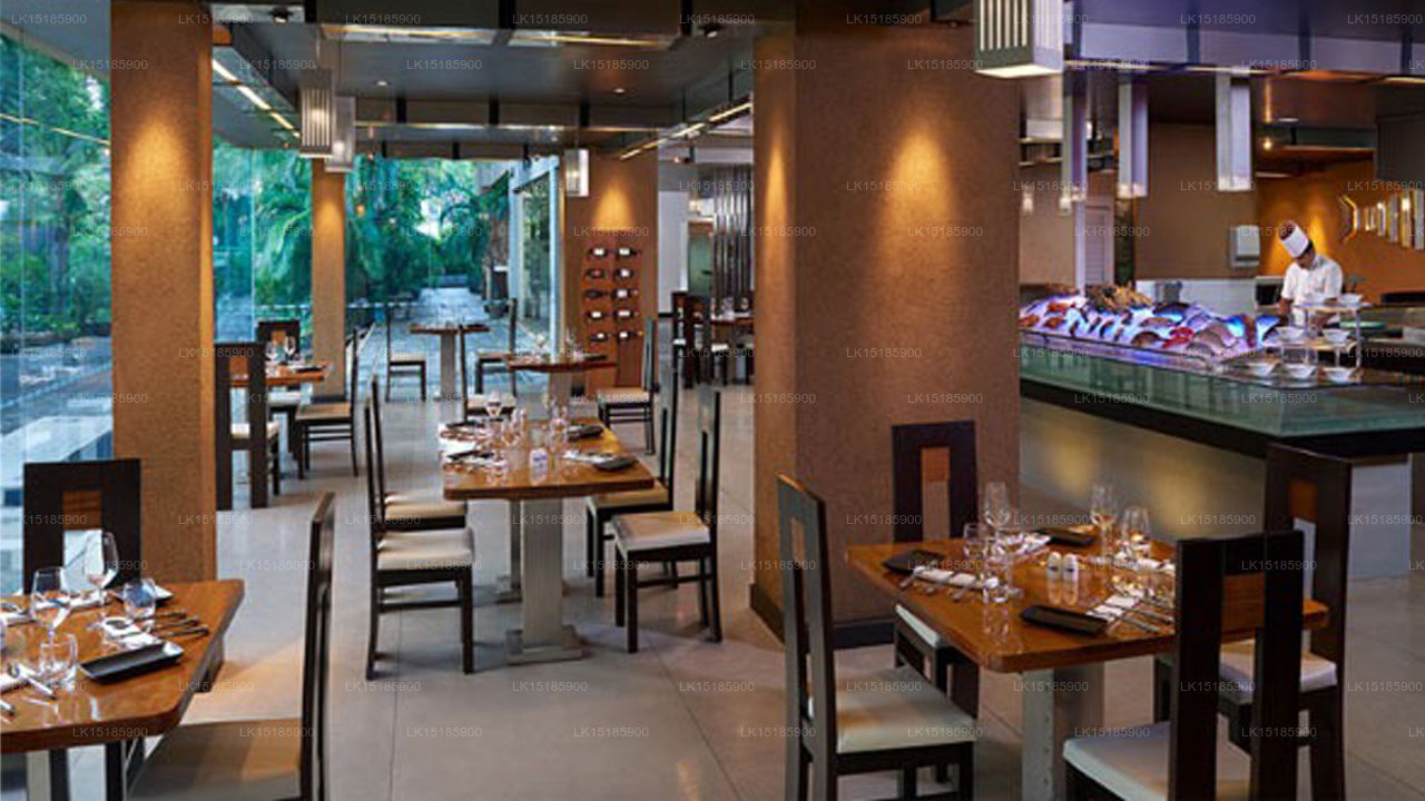 Test hotel, Colombo