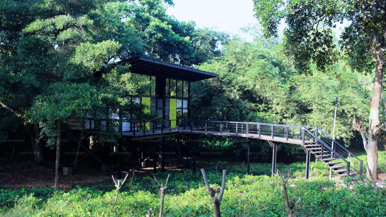 The Chalet, Galle