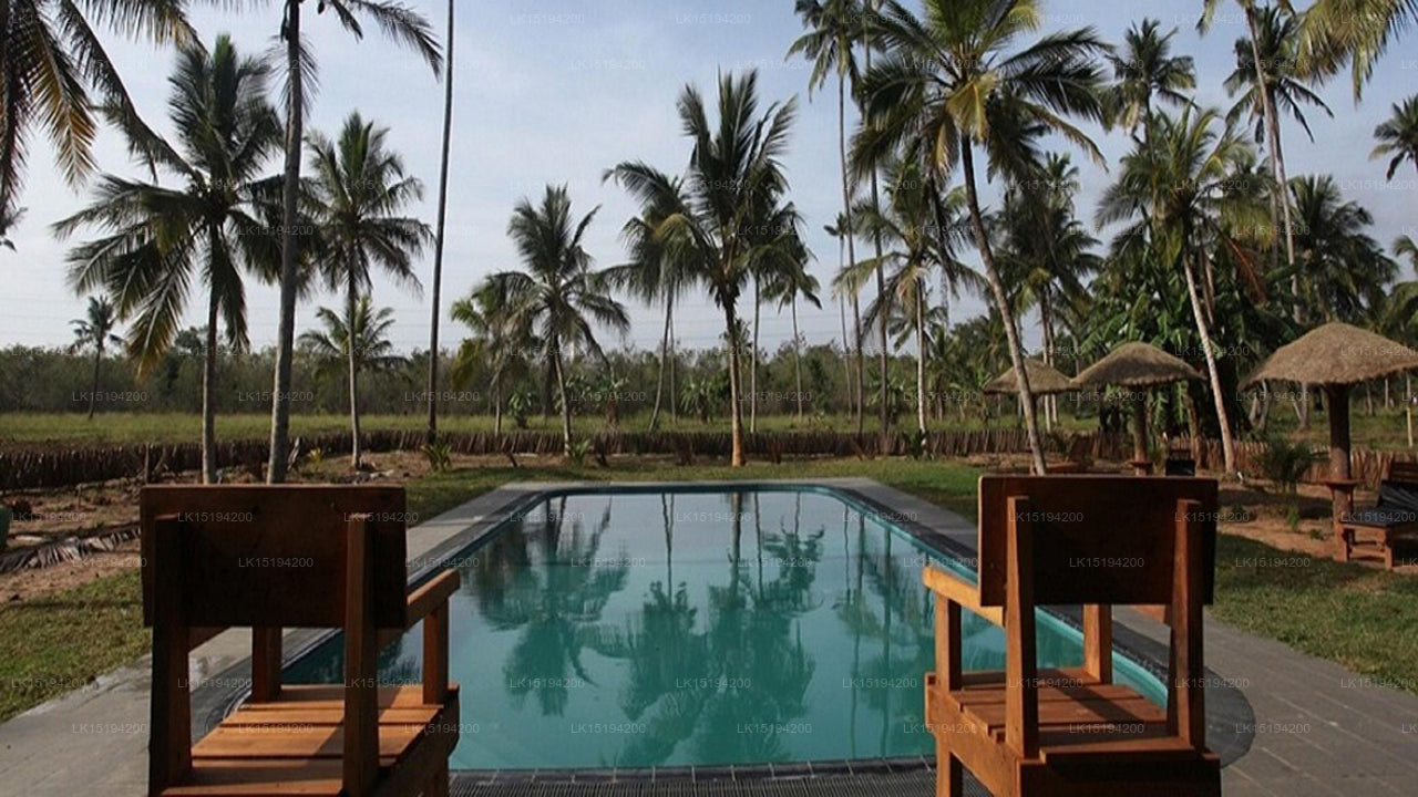 The Grove, Puttalam
