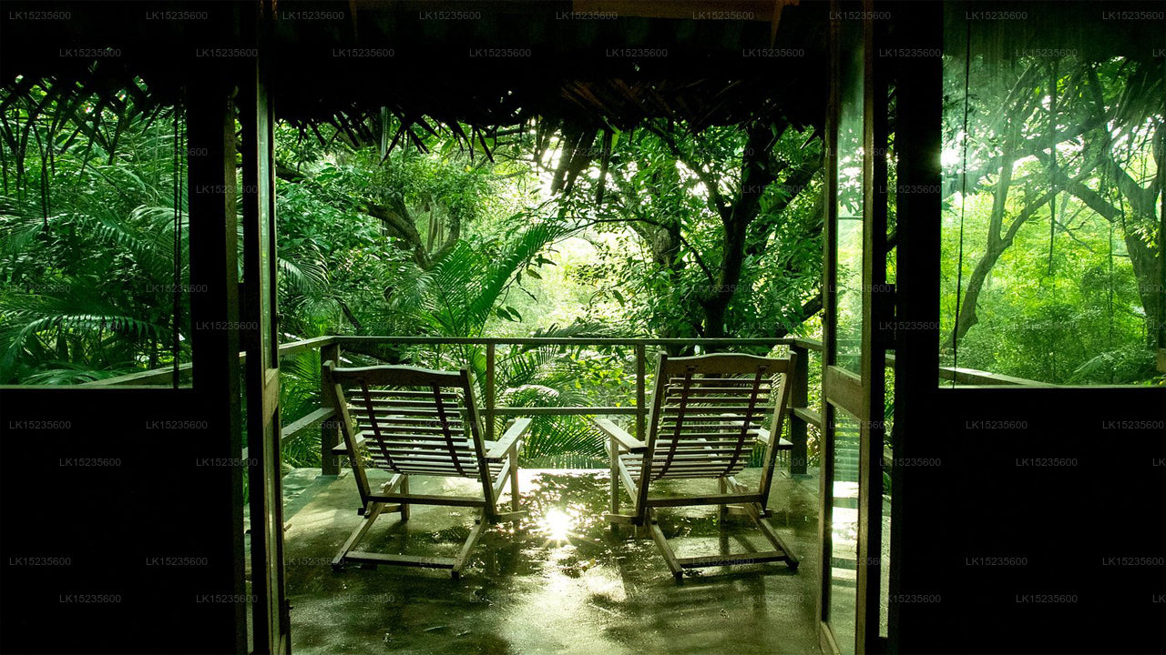 Diyabubula the Barberyn Art & Jungle Hideaway, Dambulla