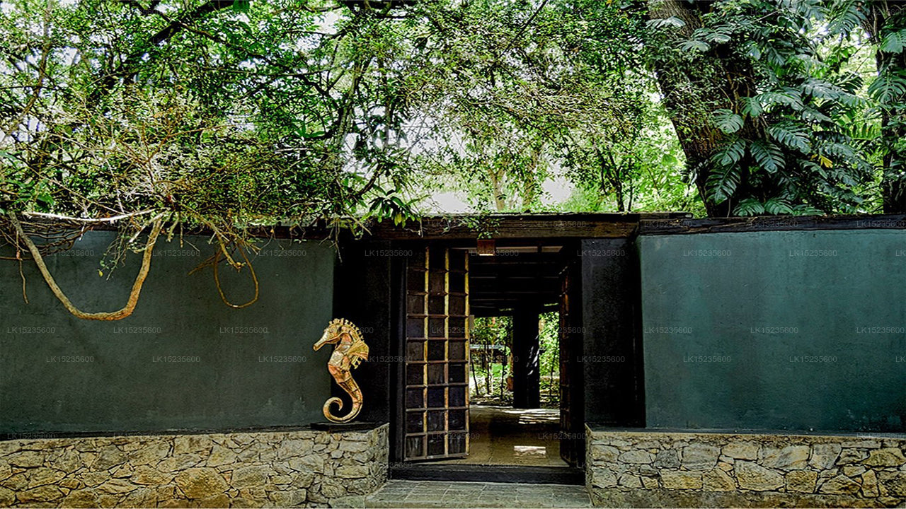 Diyabubula the Barberyn Art & Jungle Hideaway, Dambulla