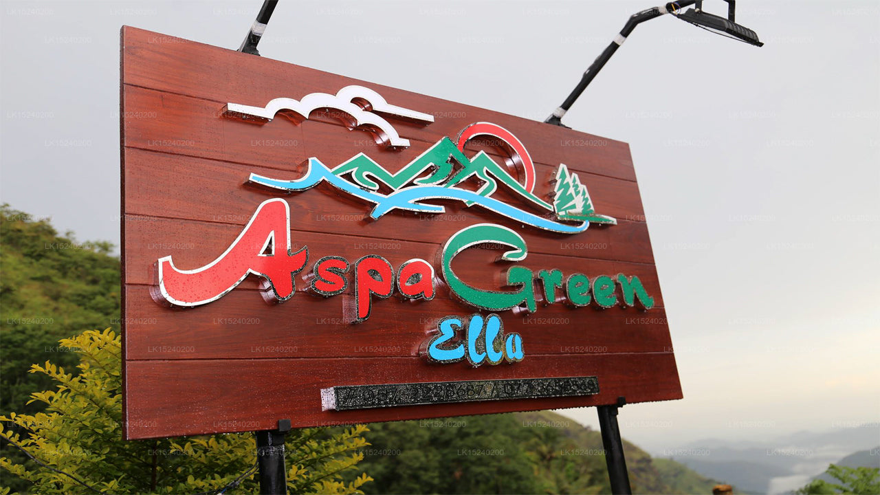 Aspa Green, Ella