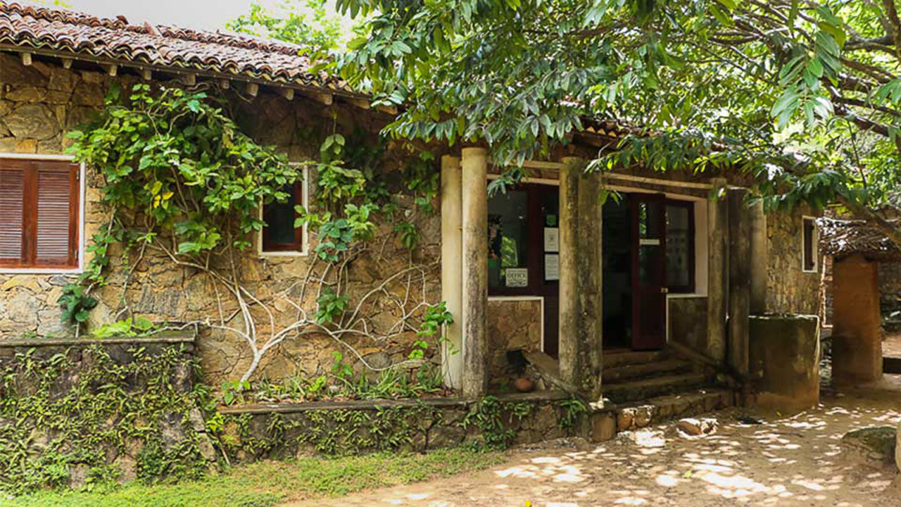 Popham's Botanik Bahçesi, Dambulla