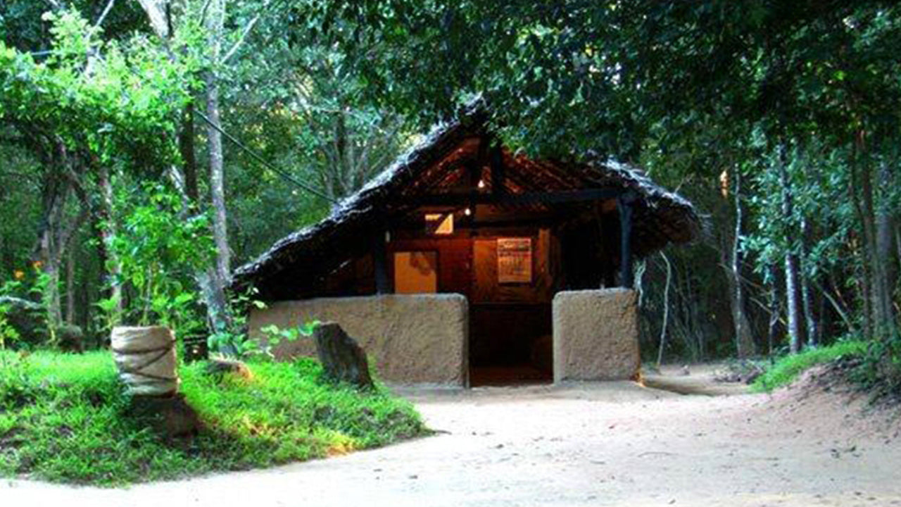 Popham's Botanik Bahçesi, Dambulla