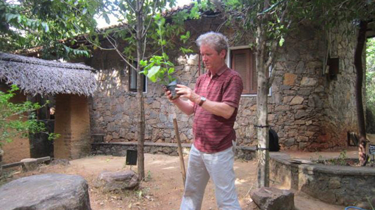 Popham's Botanik Bahçesi, Dambulla