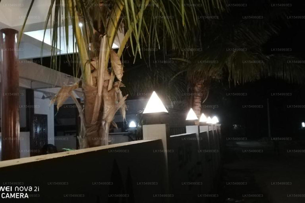 Surf Reef Dalış Plaj Sarayı, Trincomalee