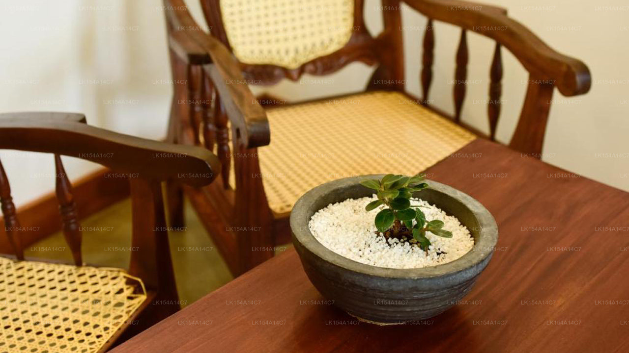 Hiru Lagünü, Negombo