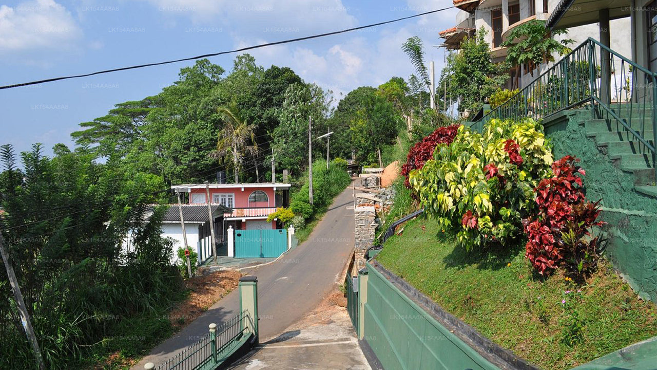 Yes Paradise, Kandy