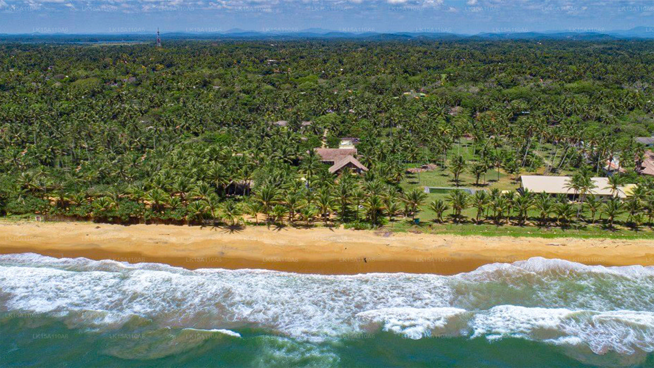 Ayana Sea, Wadduwa