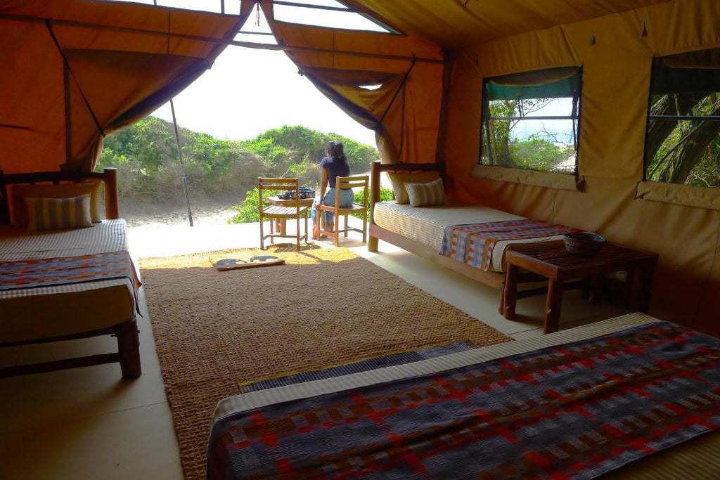 Beyond Dune Kampı Yala, Yala