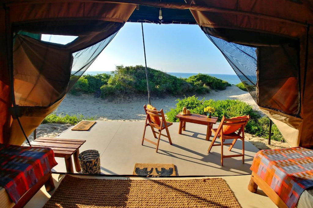 Beyond Dune Kampı Yala, Yala