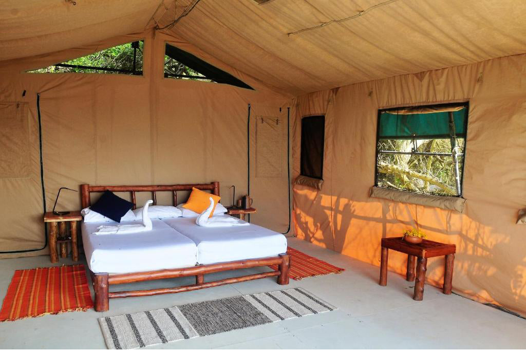 Beyond Dune Kampı Yala, Yala