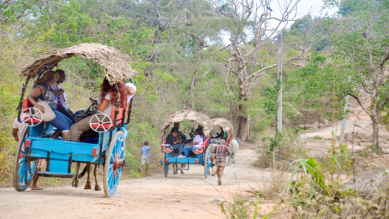 Dambulla'dan Sigiriya Kayası ve Vahşi Fil Safarisi