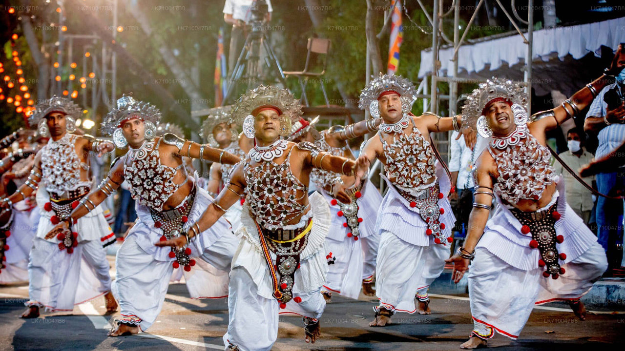 Kandy Esala Perahera - 11. Gün (Biletler ve Koltuklar)
