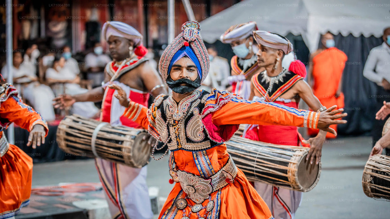 Kandy Esala Perahera - 11. Gün (Biletler ve Koltuklar)
