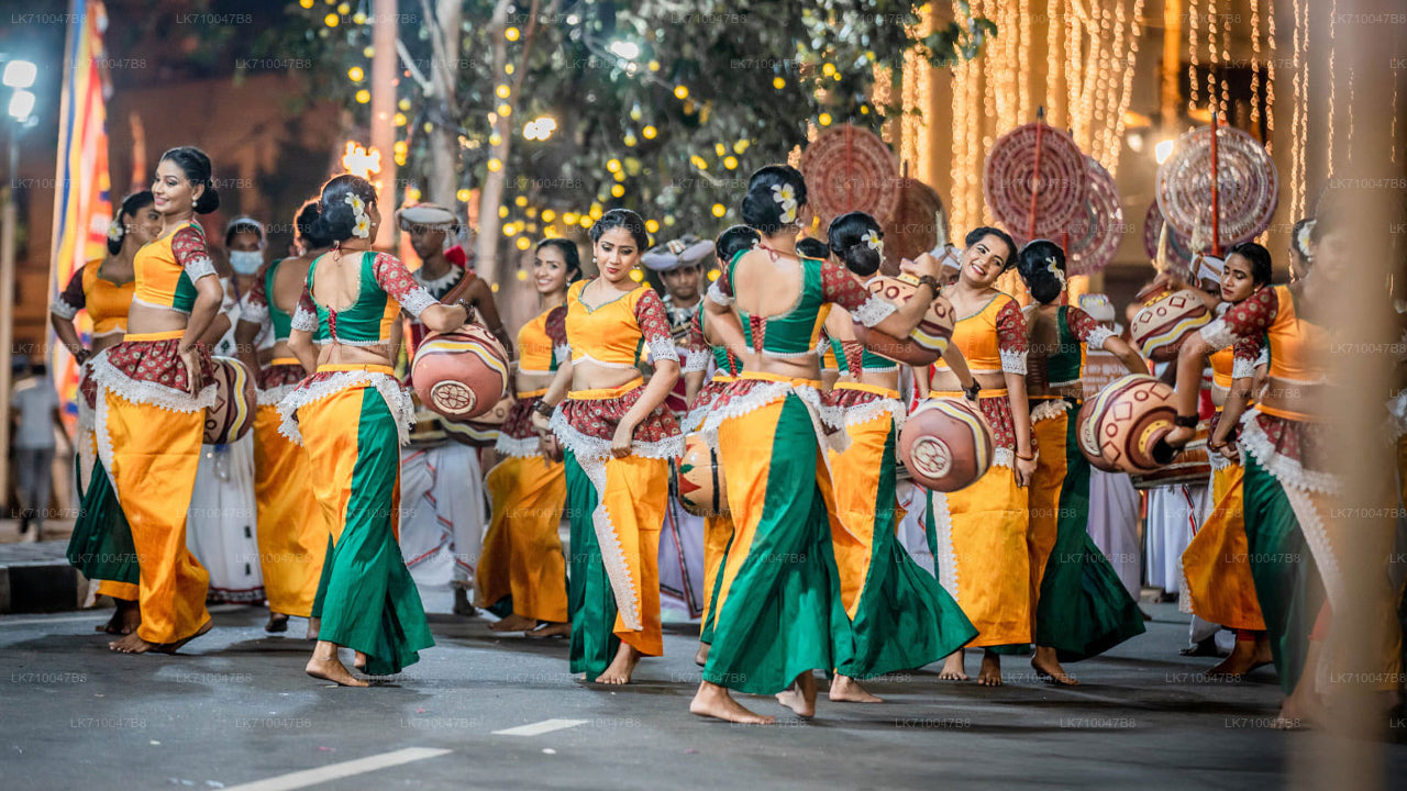Kandy Esala Perahera - 11. Gün (Biletler ve Koltuklar)