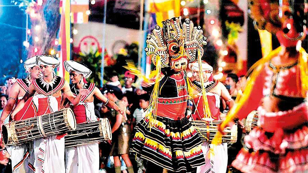 Kandy Esala Perahera - 11. Gün (Biletler ve Koltuklar)