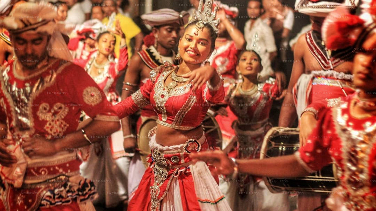 Kandy Esala Perahera - 11. Gün (Biletler ve Koltuklar)