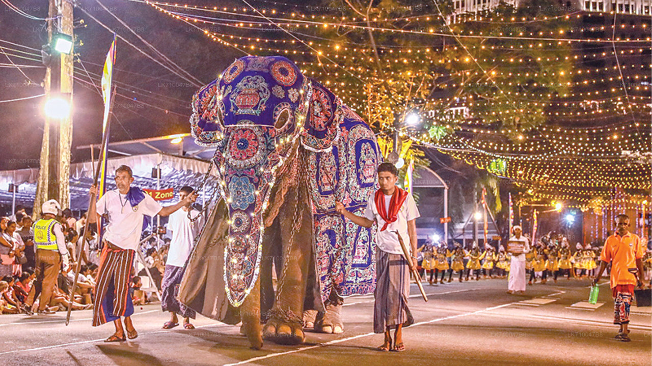 Kandy Esala Perahera - 11. Gün (Biletler ve Koltuklar)